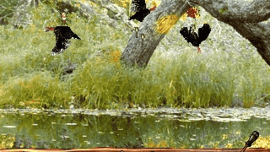 Turkey Hunting USA Screenshot