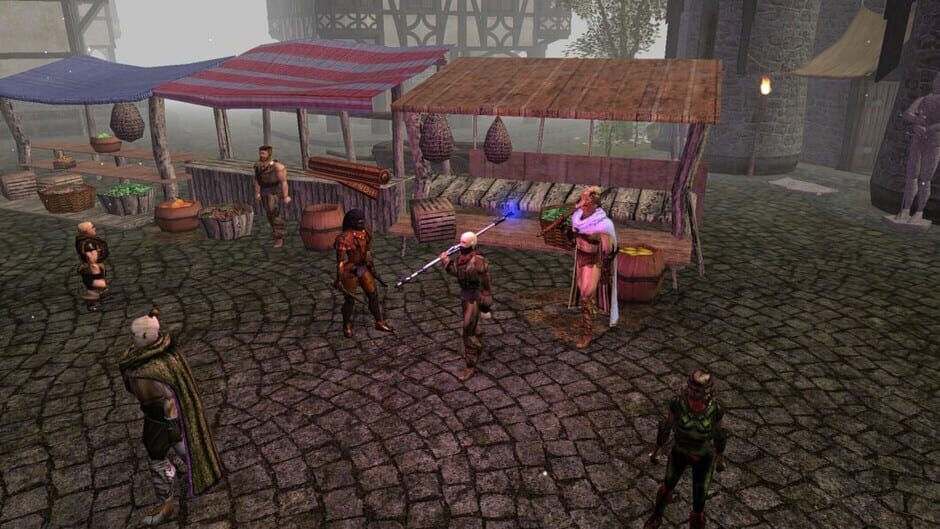Neverwinter Nights: Enhanced Edition - Doom of Icewind Dale Screenshot