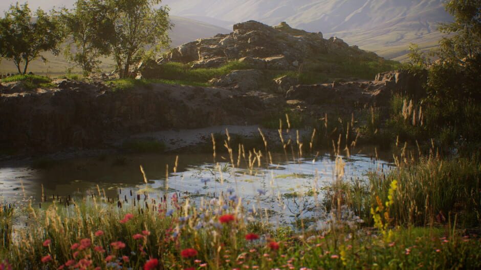 Stone Simulator Screenshot