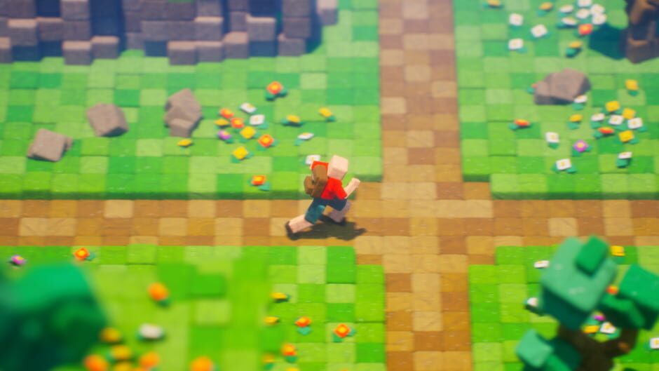 Unblock Screenshot