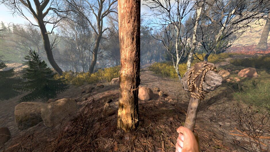 RimFolk screenshot