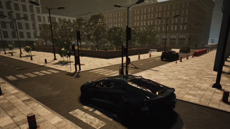 Nisukka Racing Simulation Screenshot