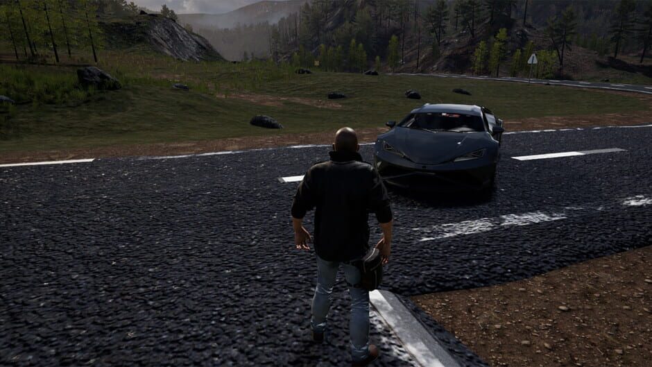 Nisukka Racing Simulation Screenshot