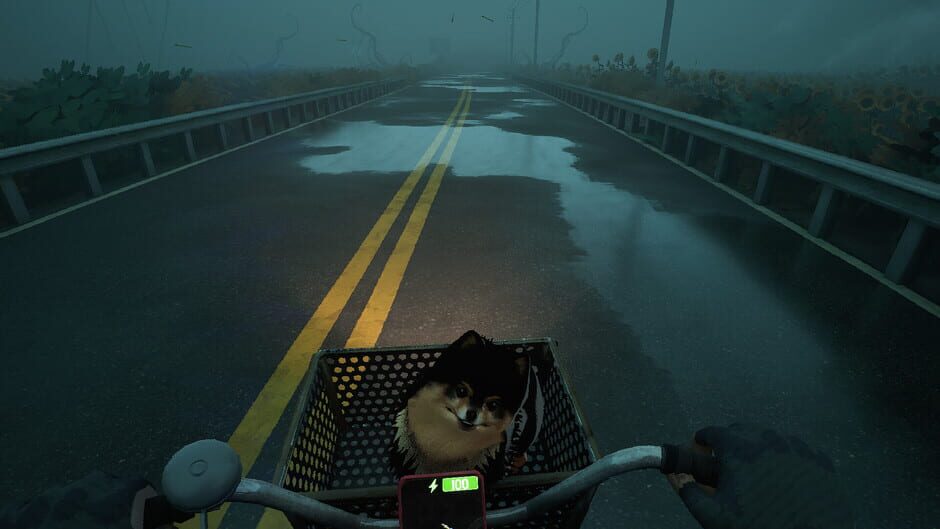 Screenshot Quite a Ride