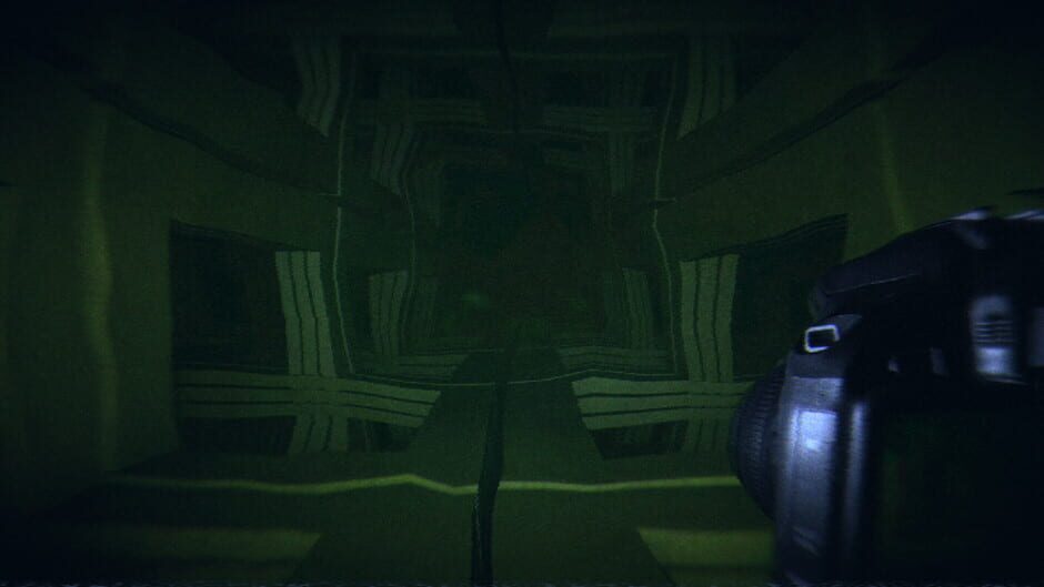 HorrorCore: Maze and Pools of Horror Screenshot