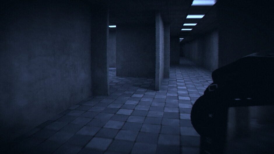 HorrorCore: Maze and Pools of Horror Screenshot