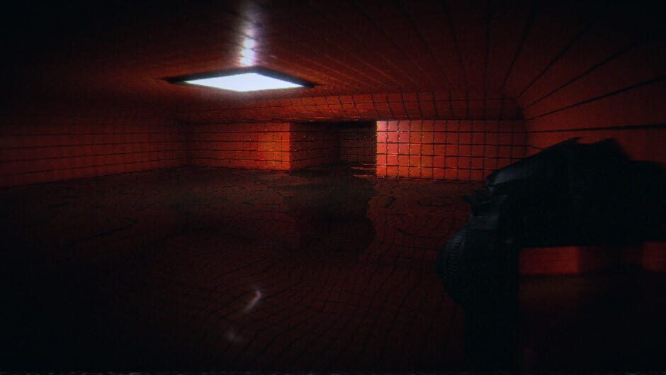 HorrorCore: Maze and Pools of Horror Screenshot