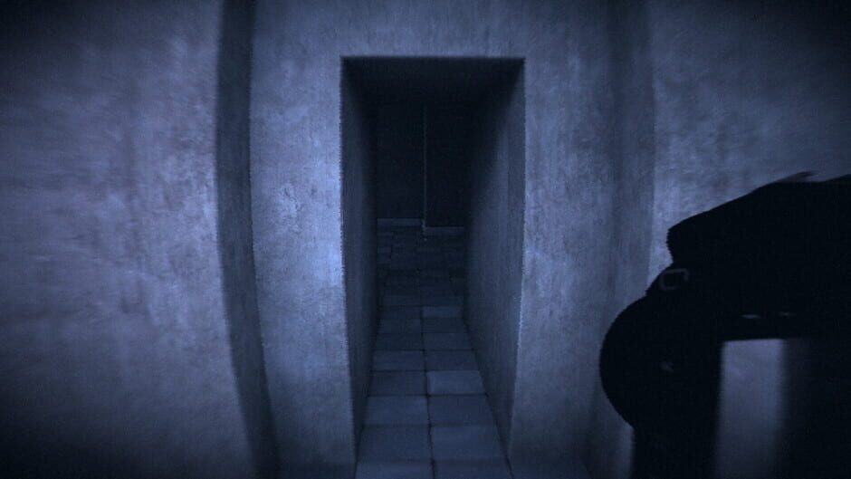 HorrorCore: Maze and Pools of Horror Screenshot