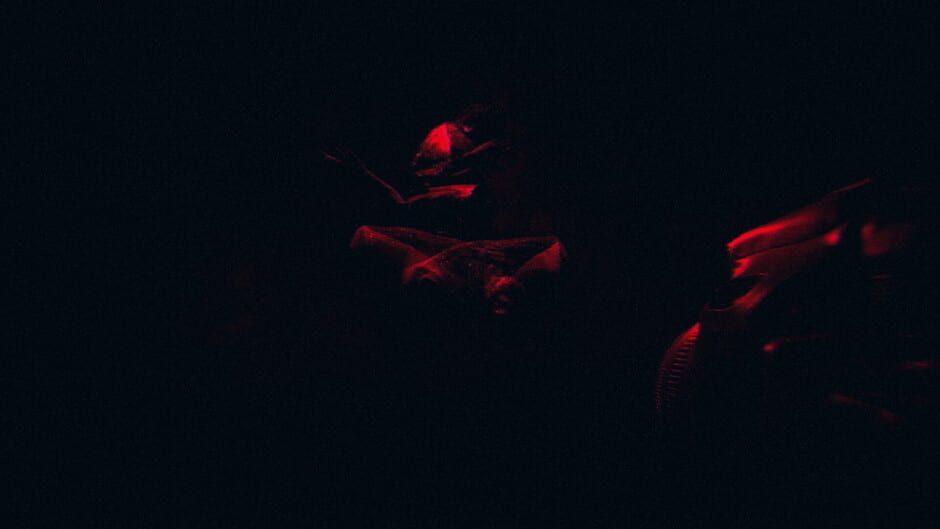 HorrorCore: Maze and Pools of Horror Screenshot