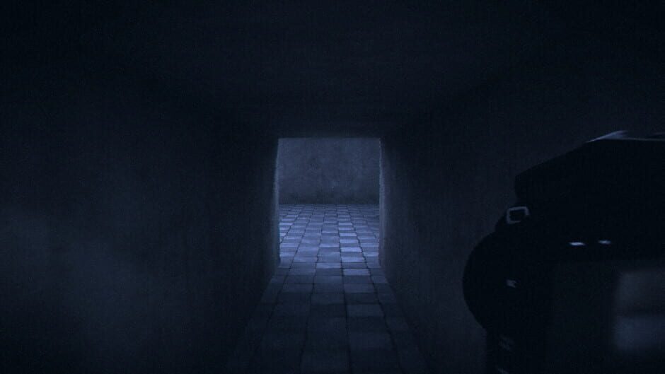 HorrorCore: Maze and Pools of Horror Screenshot