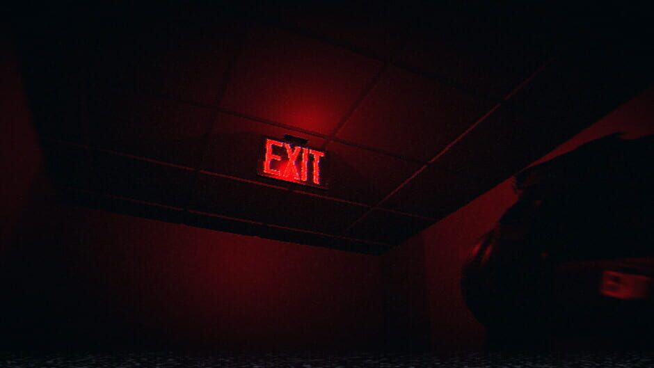 HorrorCore: Maze and Pools of Horror Screenshot