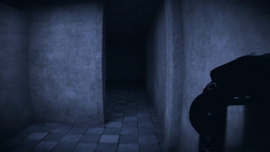 HorrorCore: Maze and Pools of Horror Screenshot