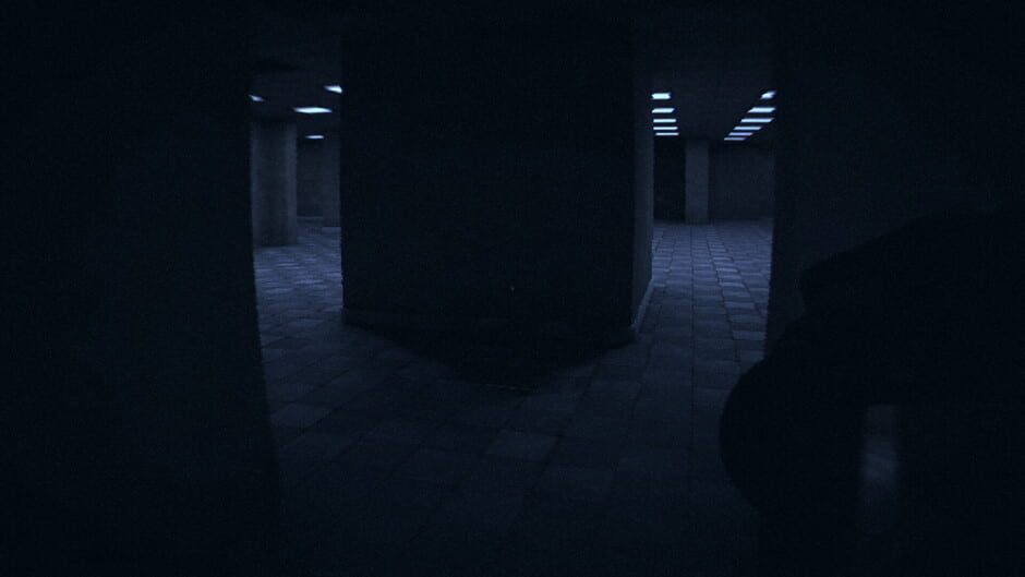 HorrorCore: Maze and Pools of Horror Screenshot