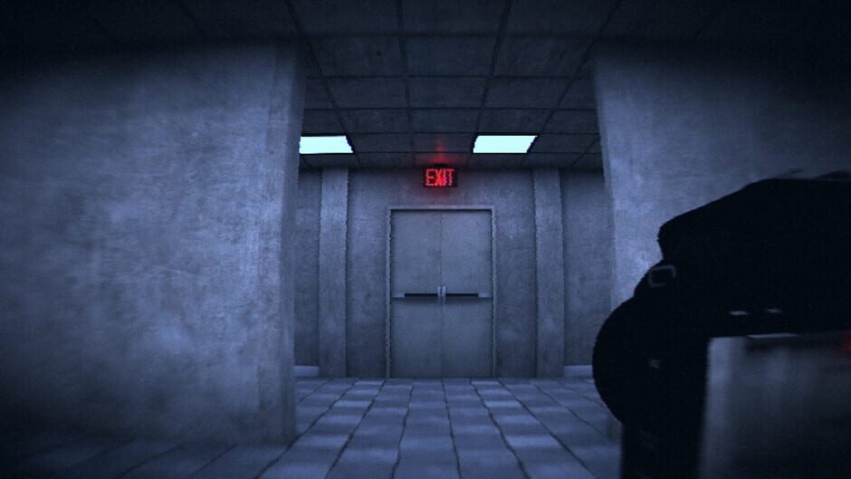 HorrorCore: Maze and Pools of Horror Screenshot