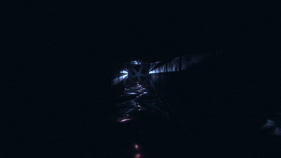 HorrorCore: Maze and Pools of Horror Screenshot