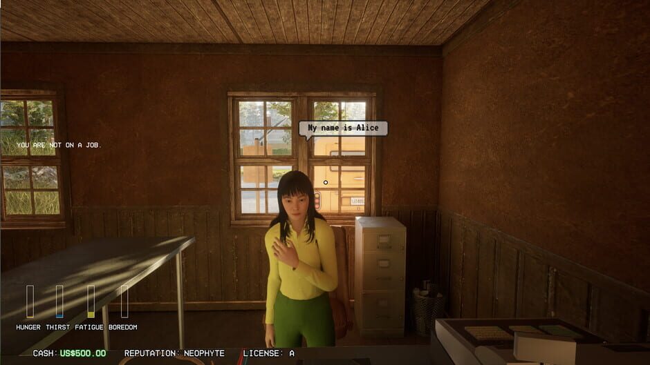 Screenshot Driving Life