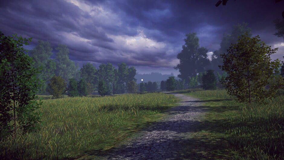 Streamer Life Simulator Screenshot