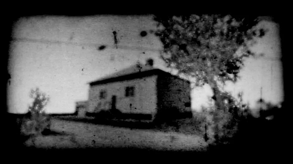 Capture d'écran de l'article