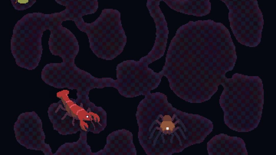 Shrew media thumbnail