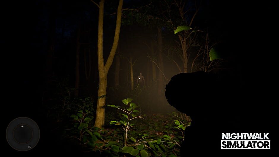 Nightwalk Simulator screenshot