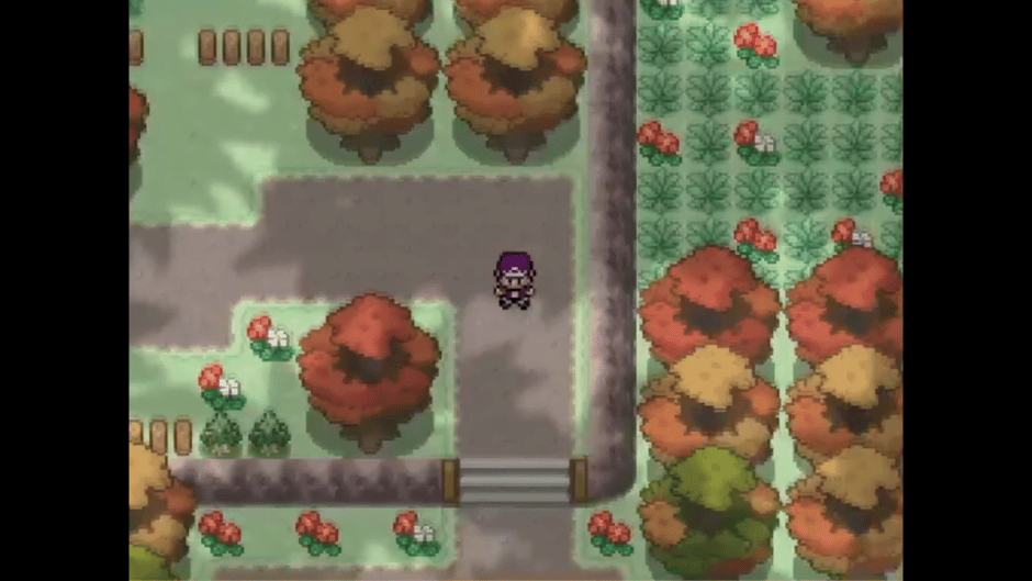 Pokemon Alchemist Screenshot