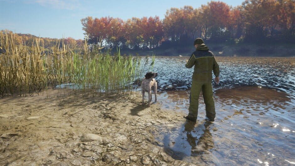สกรีนช็อตจาก TheHunter: Call of the Wild - German Shorthaired Pointer (รูปที่ 2)