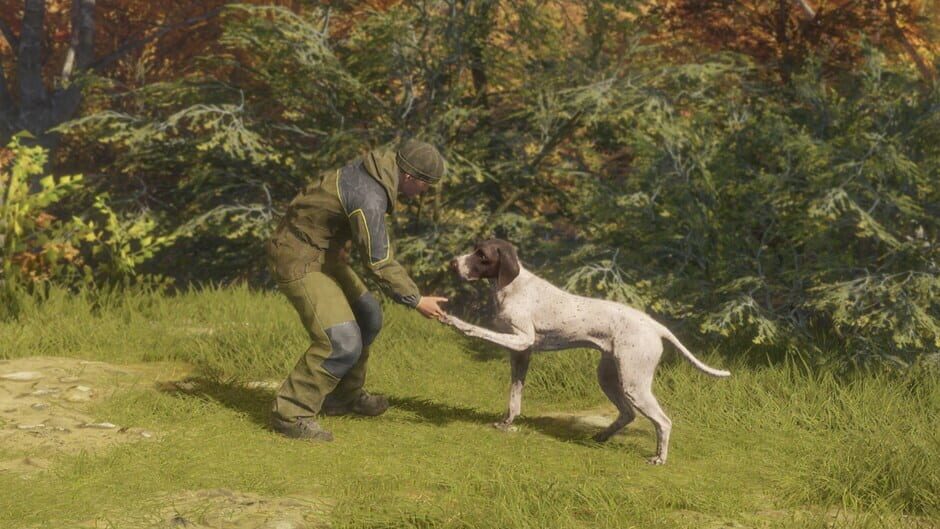 สกรีนช็อตจาก TheHunter: Call of the Wild - German Shorthaired Pointer (รูปที่ 6)