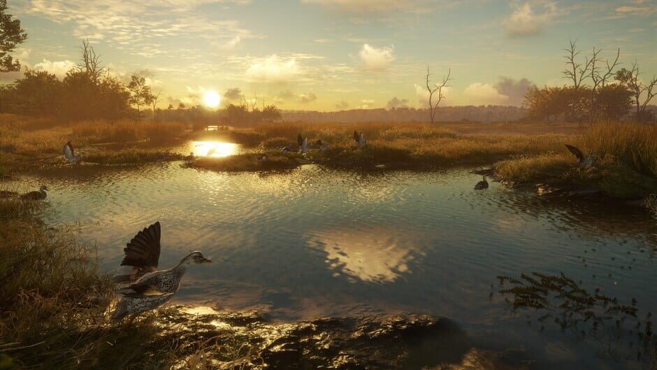 TheHunter: Call of the Wild - Salzwiesen Park Screenshot