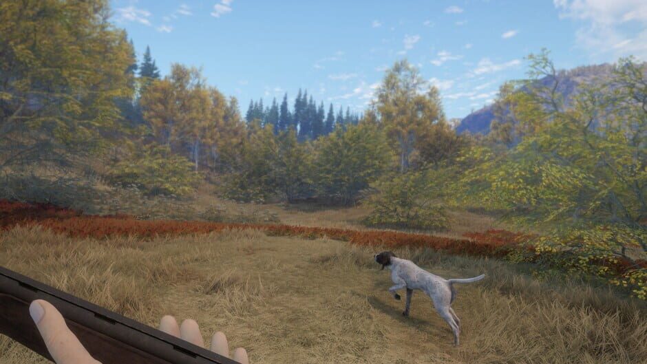 สกรีนช็อตจาก TheHunter: Call of the Wild - German Shorthaired Pointer (รูปที่ 3)