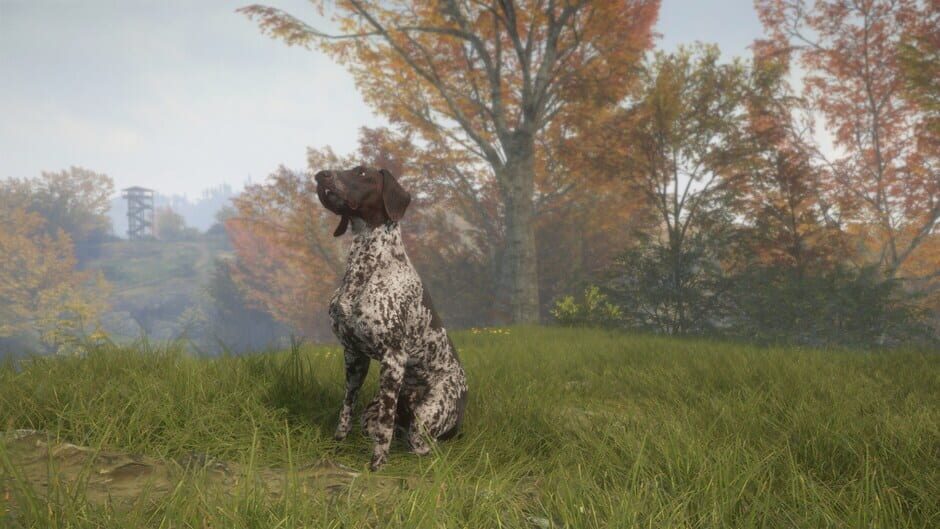 สกรีนช็อตจาก TheHunter: Call of the Wild - German Shorthaired Pointer (รูปที่ 5)