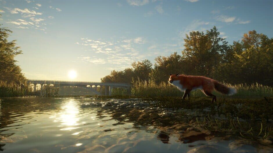 TheHunter: Call of the Wild - Salzwiesen Park Screenshot