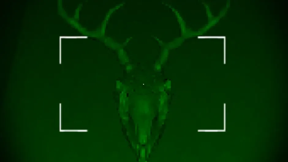 The Host