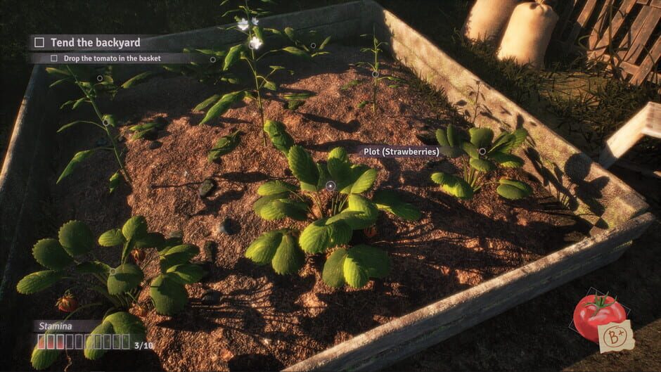 Screenshot Fractured Blooms