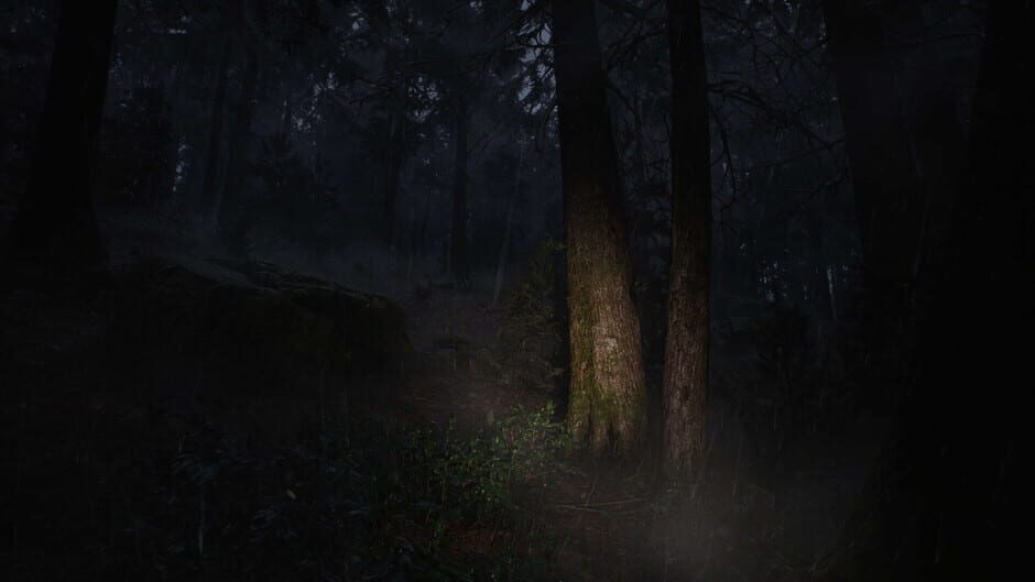 Screenshot Whispers in the Fog