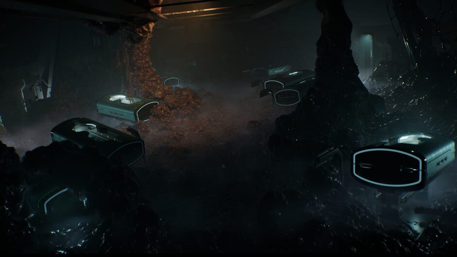 Screenshot Directive 8020