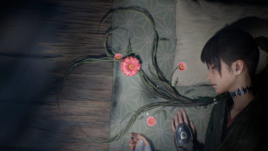 Screenshot Beast of Reincarnation