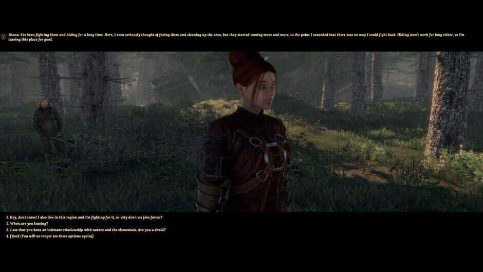 Elengard: Ascension Screenshot