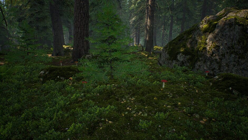 Screenshots Mushroom Hunter Simulator