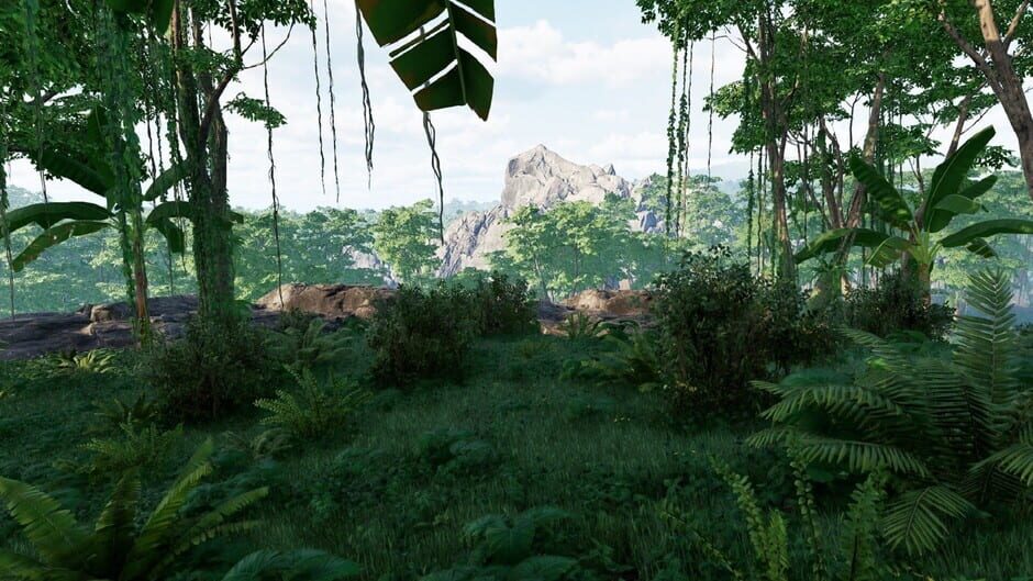 Mesorift Survival-reviewed-cover
