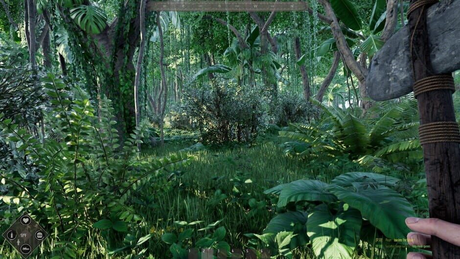 Mesorift Survival-reviewed-cover