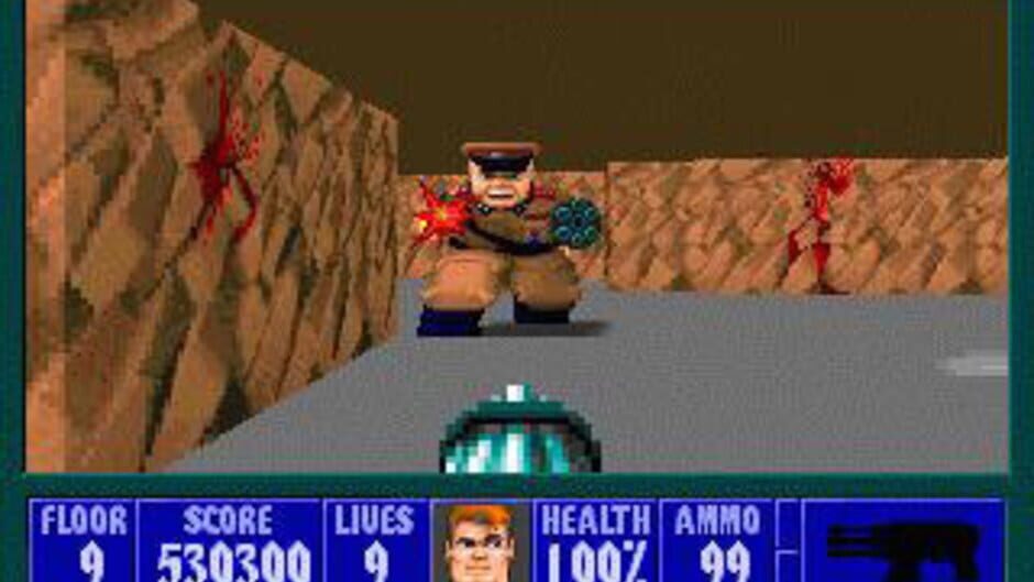 Wolfenstein 3D Screenshot