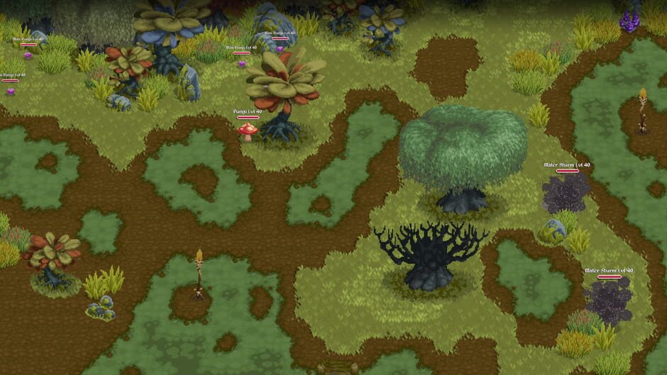 Screenshot Naïca
