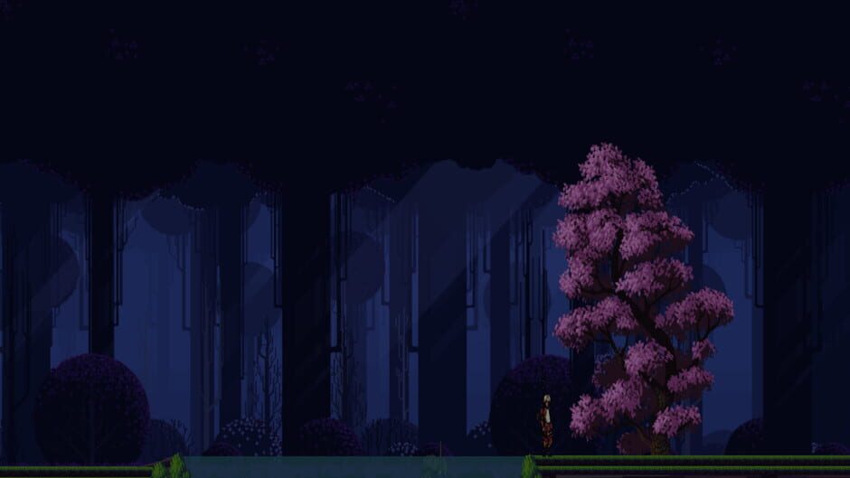 Tsan-shadow Ninja screenshot