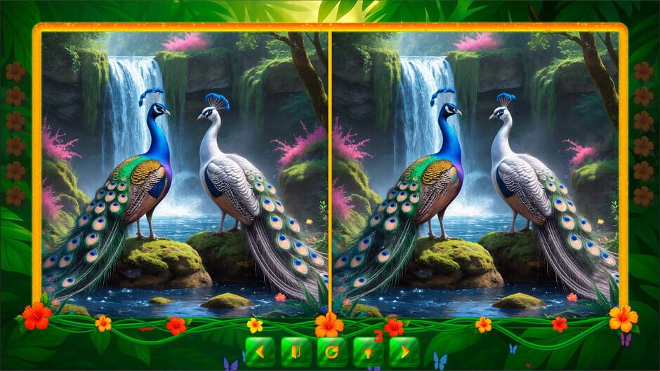 BirdQuest Find the Difference screenshot 4