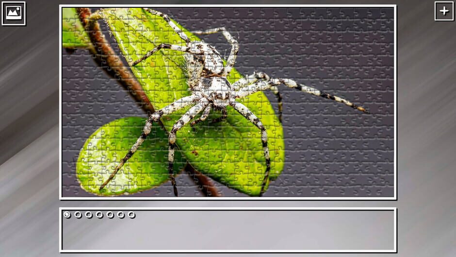 สกรีนช็อตจาก Super Jigsaw Puzzle: Generations - Bugs 2 (รูปที่ 11)