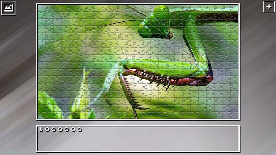สกรีนช็อตจาก Super Jigsaw Puzzle: Generations - Bugs 2 (รูปที่ 18)
