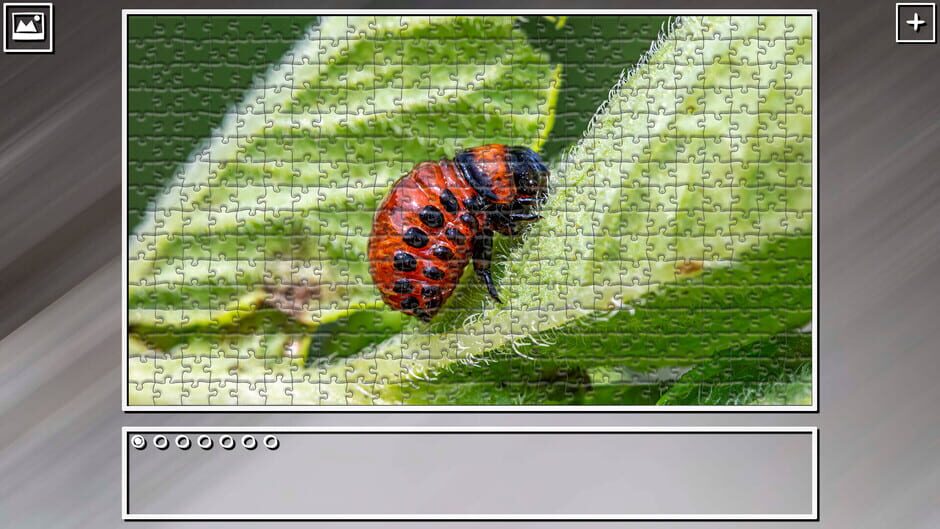 สกรีนช็อตจาก Super Jigsaw Puzzle: Generations - Bugs 2 (รูปที่ 19)