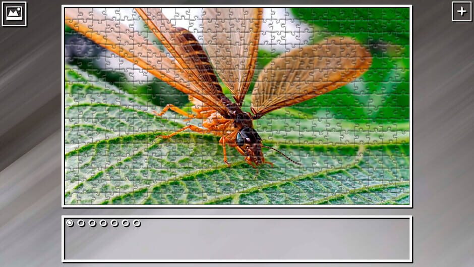 สกรีนช็อตจาก Super Jigsaw Puzzle: Generations - Bugs 2 (รูปที่ 21)