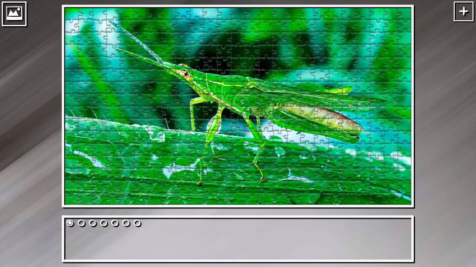 สกรีนช็อตจาก Super Jigsaw Puzzle: Generations - Bugs 2 (รูปที่ 30)