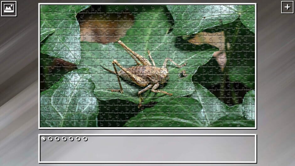 สกรีนช็อตจาก Super Jigsaw Puzzle: Generations - Random Animals 5 (รูปที่ 24)
